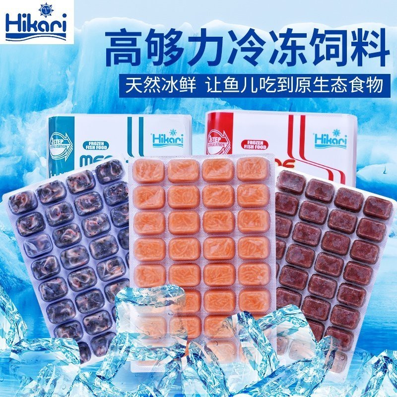 恐龍魚不吃飼料是什么原因引起的怎么辦