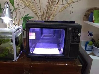 魚(yú)缸放在電視機(jī)旁邊好不好？：放魚(yú)缸在電視機(jī)旁邊并不是一個(gè)理想的選擇
