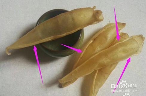 金龍魚魚膠是什么魚（金龍魚魚膠與石首魚膠的區別金龍魚魚膠與石首魚膠的區別）