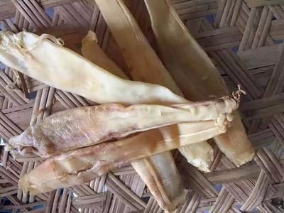 金龍魚魚膠是什么魚（金龍魚魚膠與<strong><mark>石首</mark></strong>魚膠的區別金龍魚魚膠與<strong><mark>石首</mark></strong>魚膠的區別）