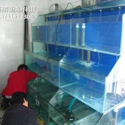 海鮮魚缸制冷系統(tǒng)的應(yīng)用：海鮮魚缸制冷技術(shù)的歷史演變制冷技術(shù)的歷史演變制冷技術(shù)