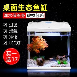 黑魚魚缸要增氧嗎視頻（黑魚魚缸是否需要增氧以及如何增氧）