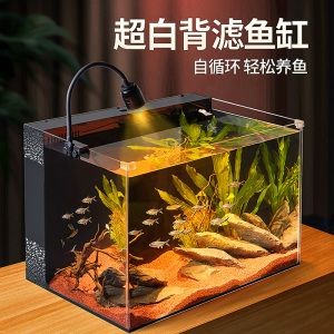 靜風聽海魚缸圖片:靜風聽海魚缸圖片展現一幅寧靜的自然景觀 魚缸百科 第4張 靜風聽海魚缸圖片:靜風聽海魚缸圖片展現一幅寧靜的自然景觀 靜風聽海魚缸圖片:靜風聽海魚缸圖片展現一幅寧靜的自然景觀 魚缸百科 第4張
