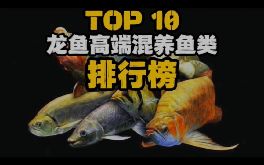 有哪些龍魚品種可以混養？