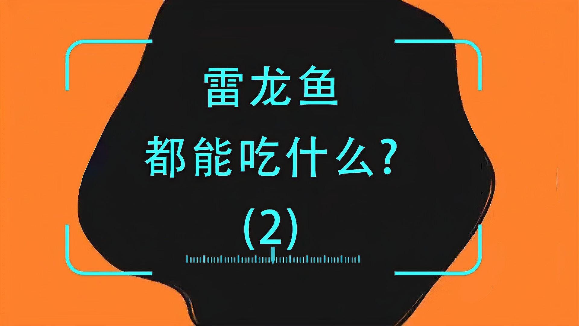 雷龍魚吃什么東西