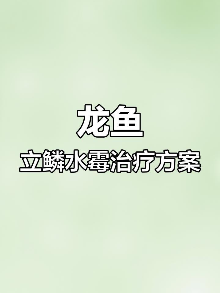 有哪些成功的龍魚立鱗病治療案例？