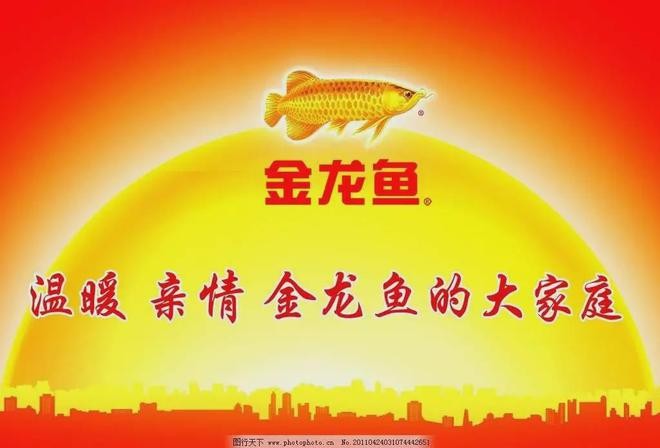 白銀龍魚吃什么長的快些呢視頻（白銀龍魚吃什么長的快些呢視頻講解）