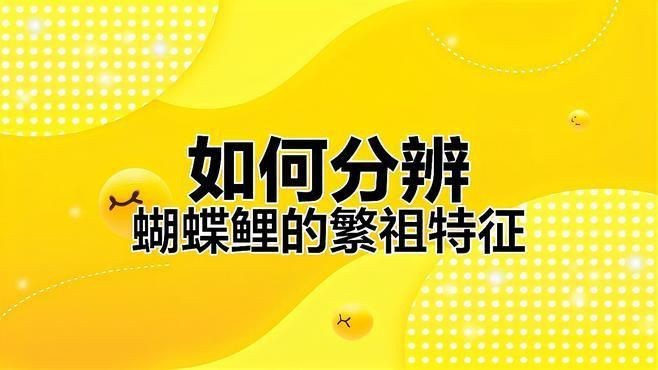 蝴蝶鯉返祖視頻免費觀看 蝴蝶鯉返祖視頻免費觀看 龍魚論壇 第1張