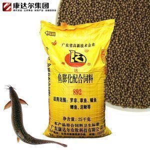 雪龍魚活餌與人工飼料優劣：雪龍魚活餌與人工飼料各有優劣