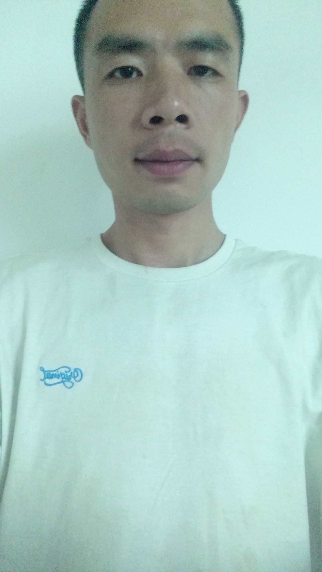 觀賞鯊魚種類大全