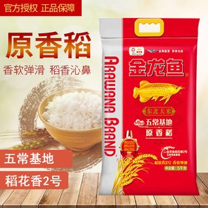 銀龍魚苗圖片大全欣賞(銀龍魚幼苗圖片)