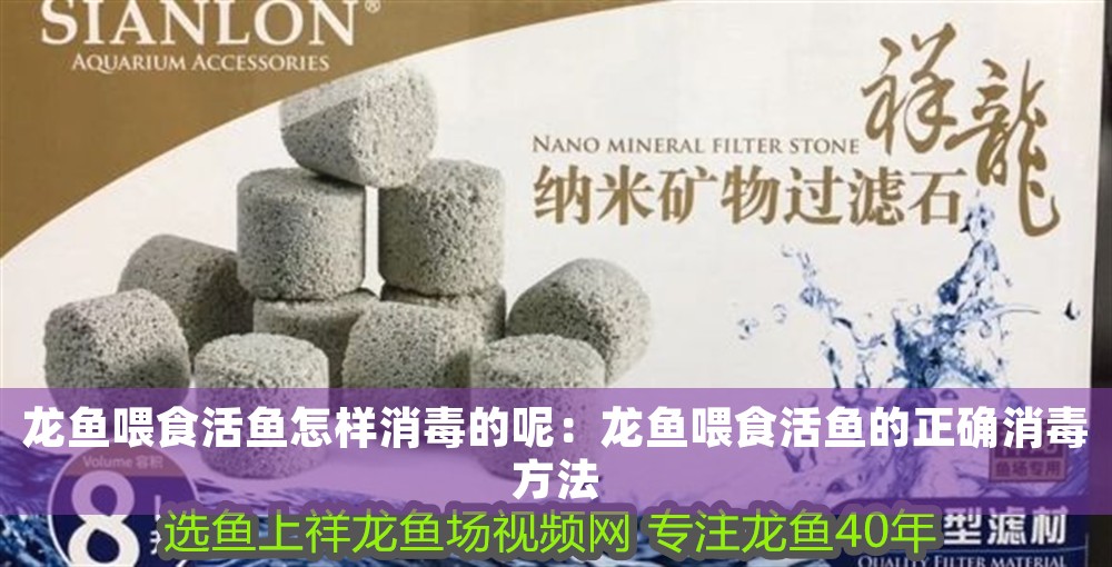 龍魚喂食活魚怎樣消毒的呢：龍魚喂食活魚的正確消毒方法