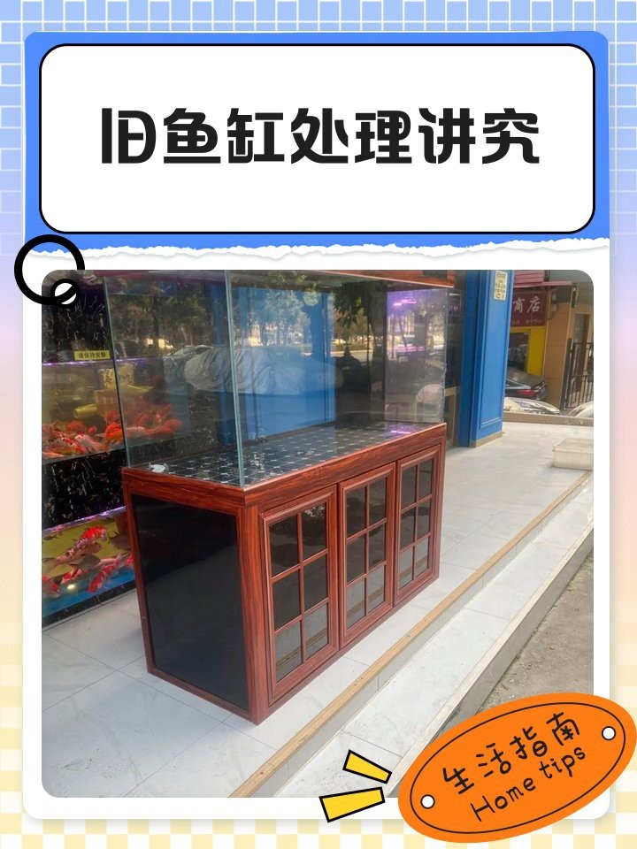 舊魚缸怎么處理風水學