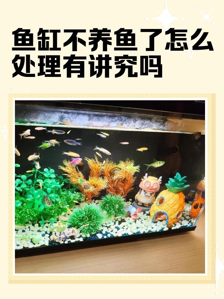 舊魚缸怎么處理風水學