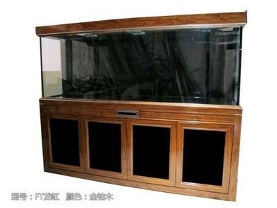 觀賞魚缸養護與管理：養觀賞魚不僅需要一個合適的魚缸還需要掌握一定的養護與管理知識