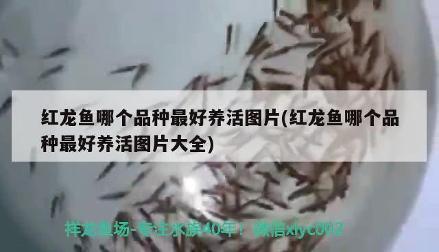 運城市鹽湖區東城同緣水族（運城東花園水上樂園開放了嗎）