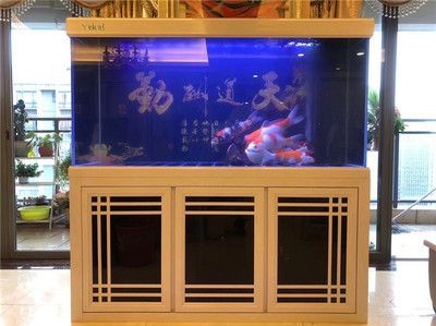 魚缸定制哪家好一點：大型魚缸定制服務價格對比