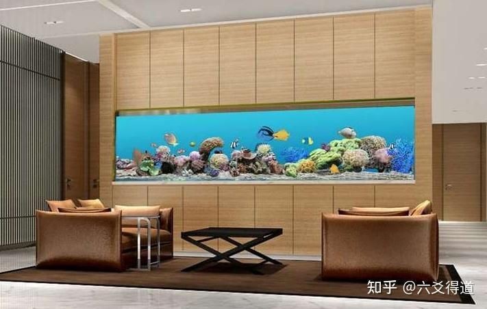 家里魚缸怎么擺放旺財風水