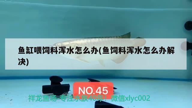 古浪縣精誠水族花卉店