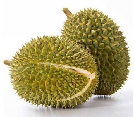 貓山王榴蓮的膳食纖維作用（貓山王榴蓮的營養(yǎng)價(jià)值）