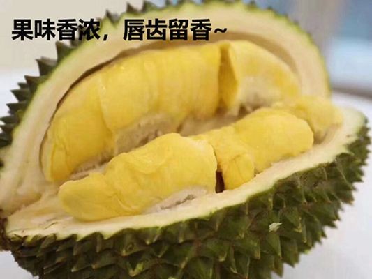 貓山王榴蓮的膳食纖維作用（貓山王榴蓮的營養(yǎng)價(jià)值）