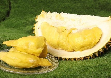貓山王榴蓮的膳食纖維作用（貓山王榴蓮的營養(yǎng)價(jià)值）