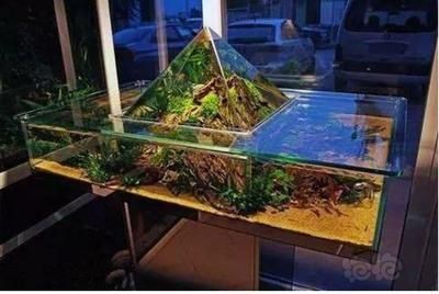 負壓魚缸科學原理解析負壓魚缸的科學原理解析：負壓魚缸制作方法