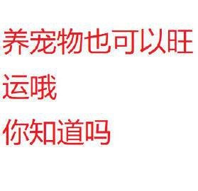 屬什么的人最適合養六角龍？