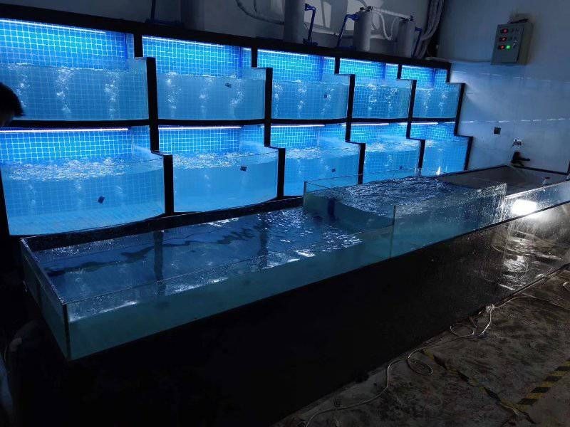 海鮮魚缸的設計方案：海洋生態揭秘海鮮魚缸設計方案，海鮮魚缸設計方案