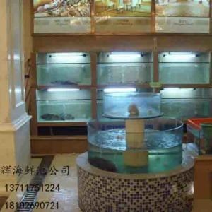 海鮮魚缸的設計方案：海洋生態揭秘海鮮魚缸設計方案，海鮮魚缸設計方案