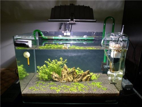 魚缸濾材的用法：常見的魚缸濾材及其使用方法