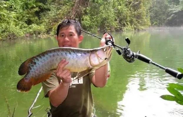 大連經濟技術開發區寶來觀賞魚店