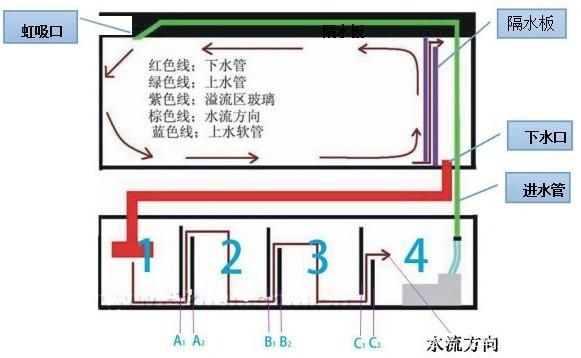 水族箱過濾技術的演變歷程：底濾魚缸與上濾魚缸各有其特點和適用場景