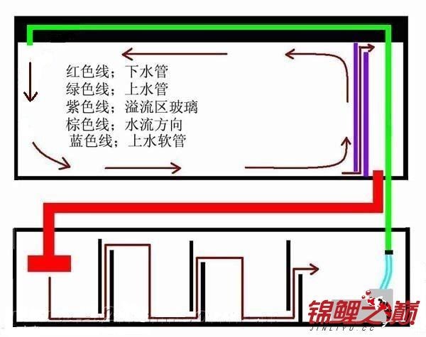 水族箱過濾技術的演變歷程：底濾魚缸與上濾魚缸各有其特點和適用場景