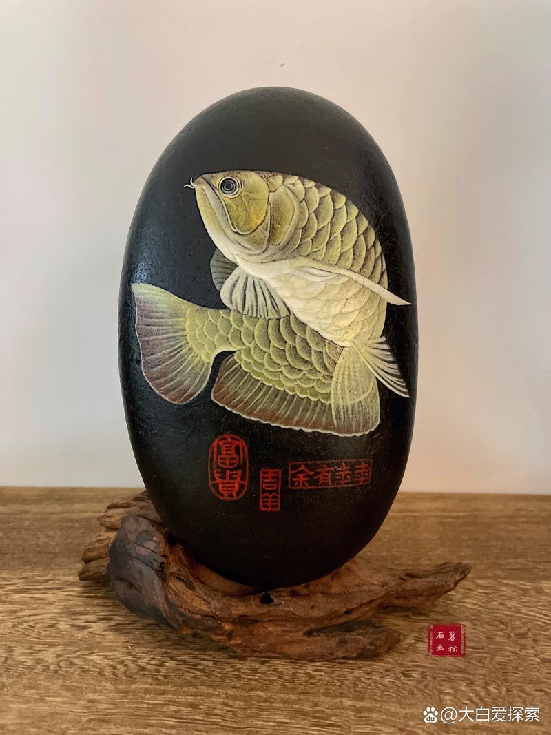 金龍魚在網絡流行語中代表什么？ 金龍魚在網絡流行語中代表什么？ 龍魚論壇 第6張