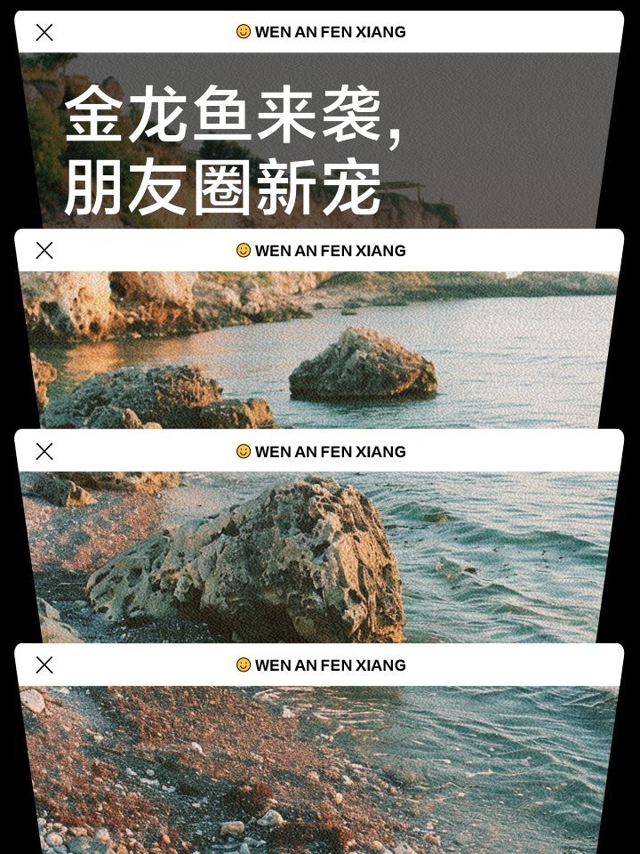 金龍魚在網絡流行語中代表什么？ 金龍魚在網絡流行語中代表什么？ 龍魚論壇 第7張