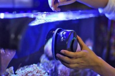 電動魚缸清洗器（關于電動魚缸清洗器的一些詳細信息）