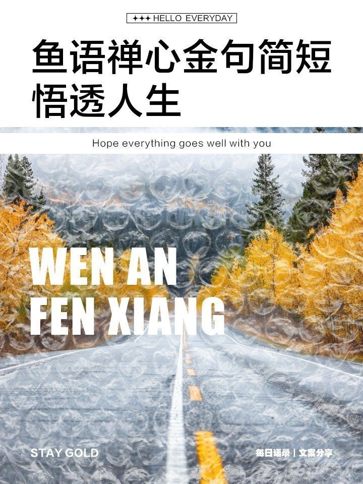 觀魚禪意最經典十句話