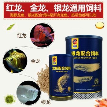銀龍魚幼魚專用飼料：如何判斷銀龍魚幼魚飼料的營養價值