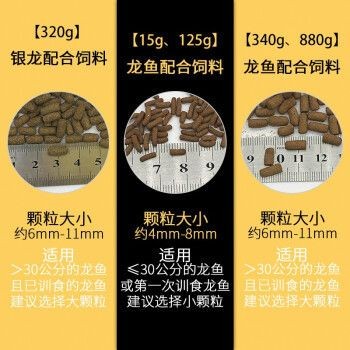 銀龍魚幼魚專用飼料：如何判斷銀龍魚幼魚飼料的營養價值