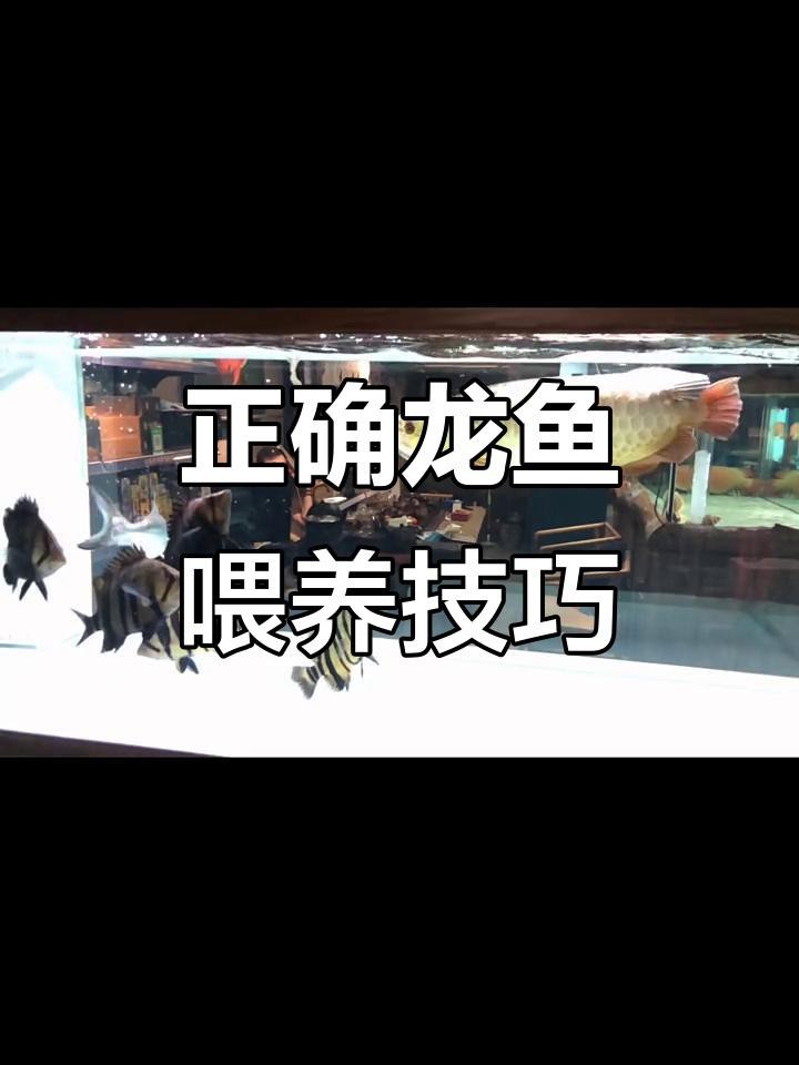 魚缸有病菌怎么去除？魚缸有病菌怎么去除小妙招