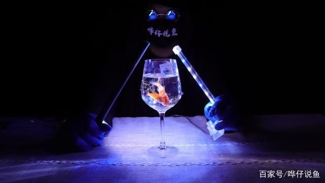 給魚缸照明用的燈有哪些（魚缸照明燈的使用）