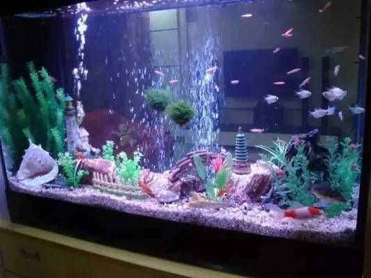魚缸水泵選型指南：如何維護(hù)魚缸水泵