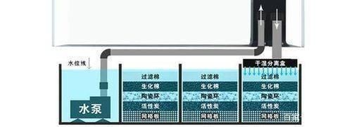 魚缸水泵選型指南：如何維護(hù)魚缸水泵
