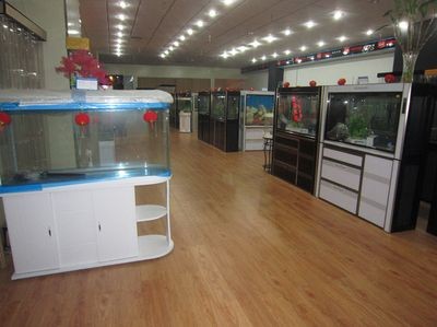 廣饒二手魚缸出售信息（廣饒地區(qū)二手魚缸交易的安全指南）