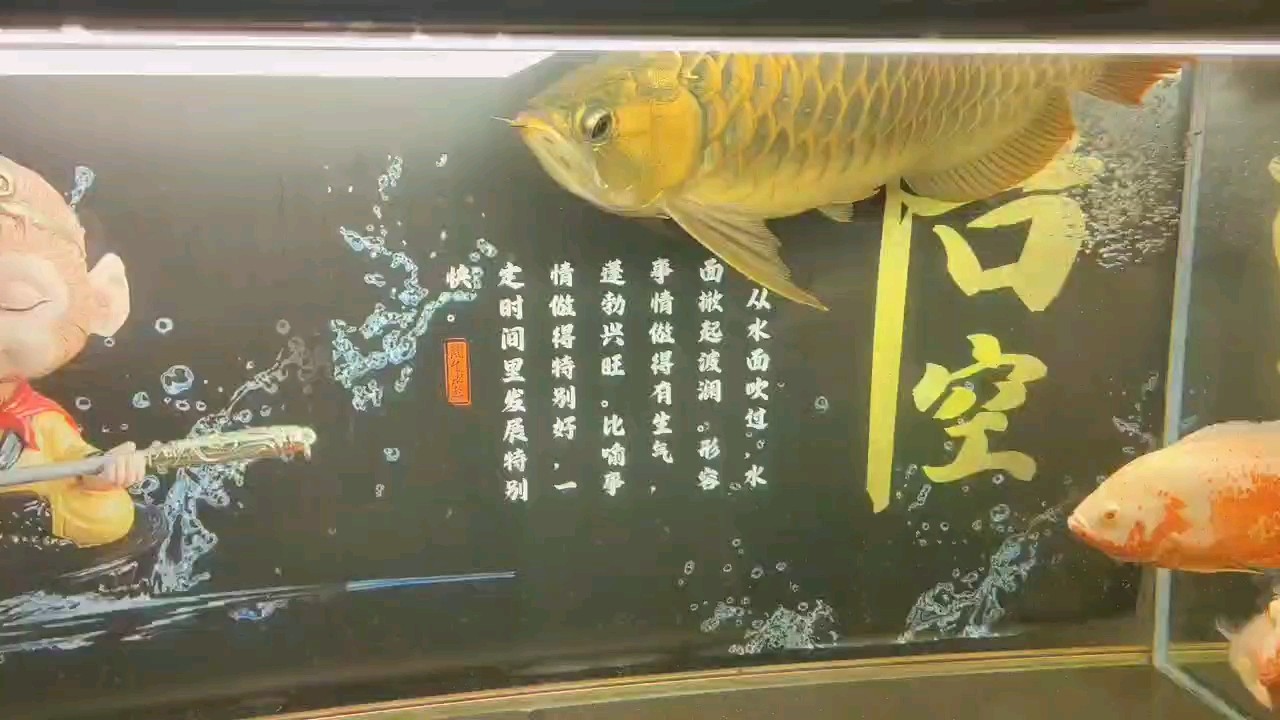 五年兩個(gè)月