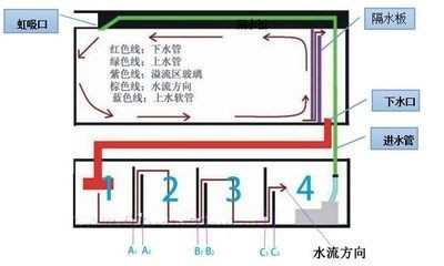 溢流區在底濾魚缸中的作用是什么？：溢流區與水質凈化的關系在底濾魚缸中的作用是什么