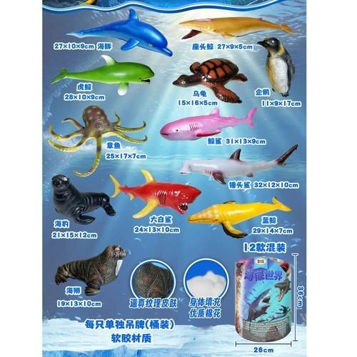 海豚和鯊魚(yú)區(qū)別圖片
