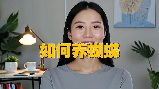 蝴蝶可以當寵物養嗎