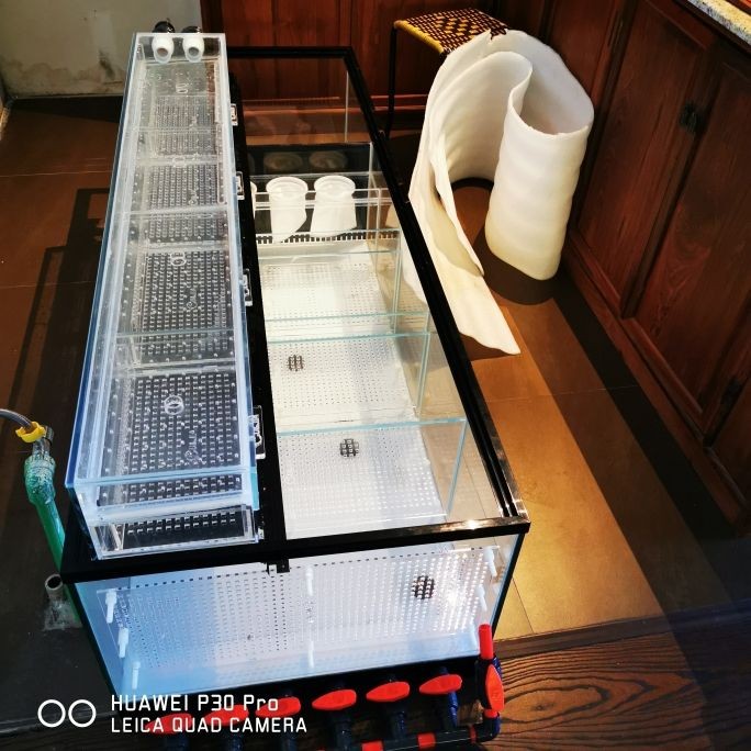風水魚缸適合放在什么位置好（不同形狀魚缸的風水意義）